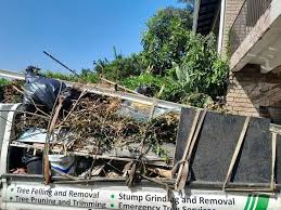 Best Shed Removal in Ault, CO